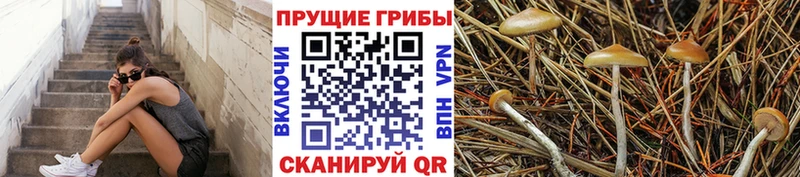 даркнет сайт  Верхняя Салда  Псилоцибиновые грибы Magic Shrooms 